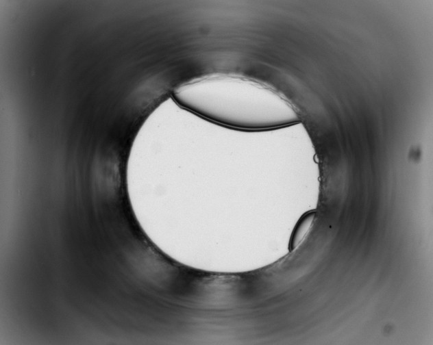 X0000103430128200810241107