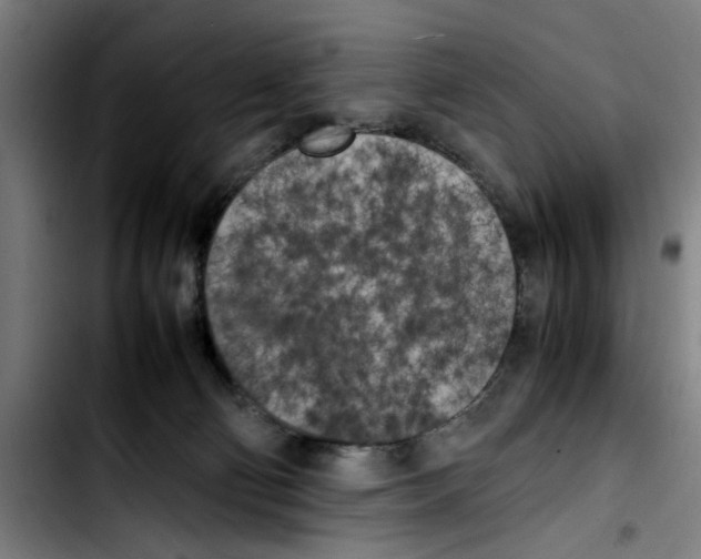 X0000103430130200810241107