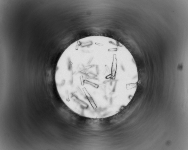 X0000103430131200810241107
