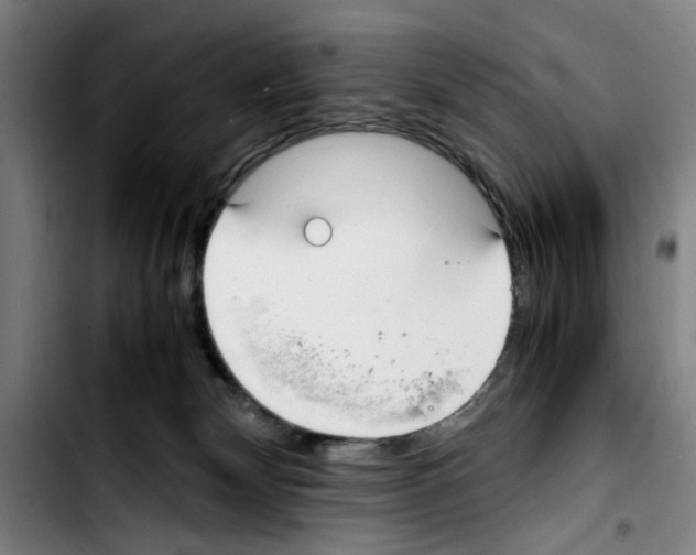 X0000103430132200810241107