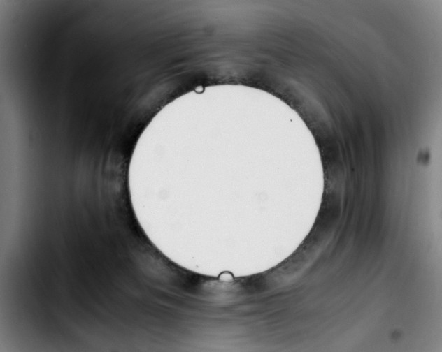 X0000103430133200810241107