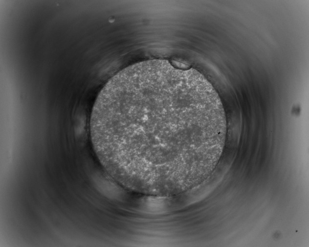 X0000103430134200810241107
