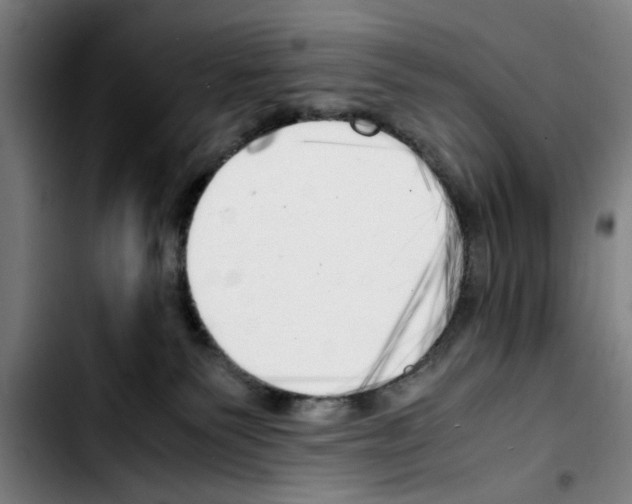 X0000103430135200810241107