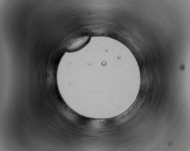 X0000103430136200810241107