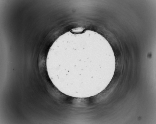 X0000103430137200810241107