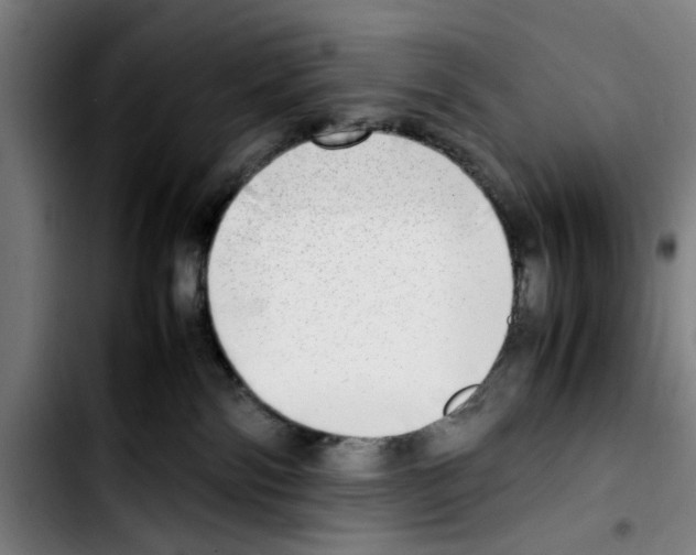 X0000103430138200810241107