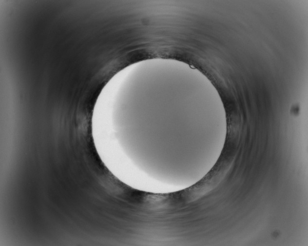 X0000103430139200810241107