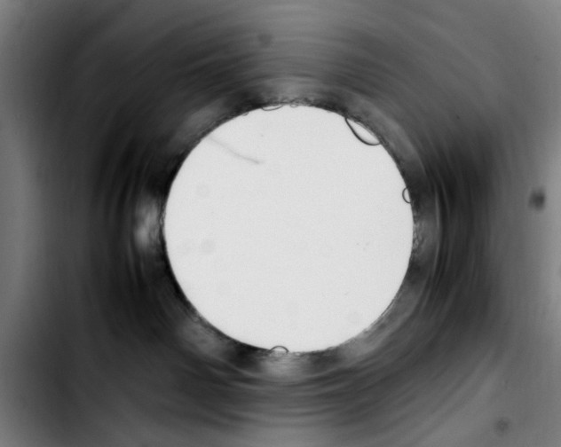 X0000103430142200810241107