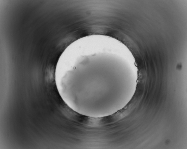 X0000103430143200810241107