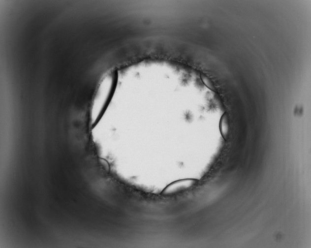 X0000103430144200810241107