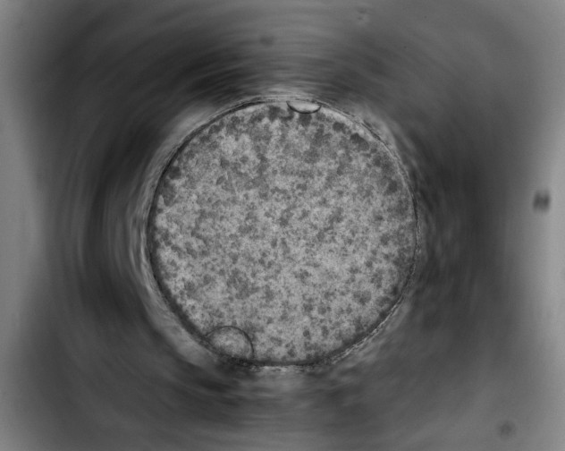 X0000103430145200810241106