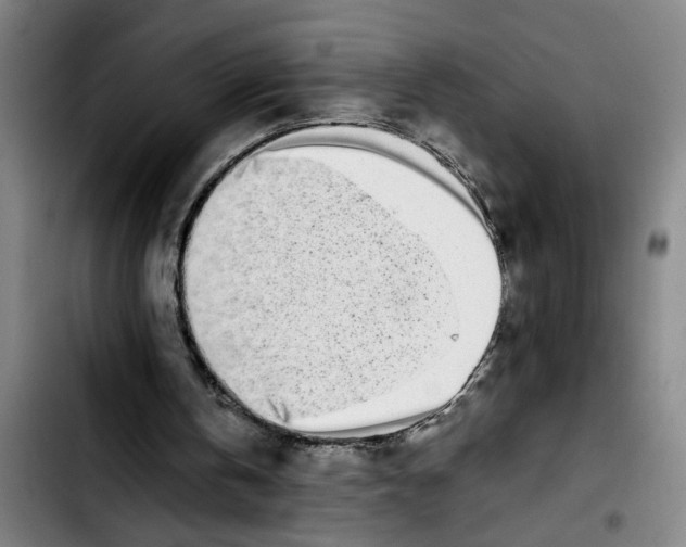 X0000103430146200810241106