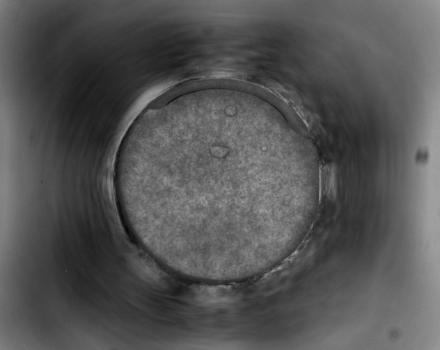 X0000103430147200810241107
