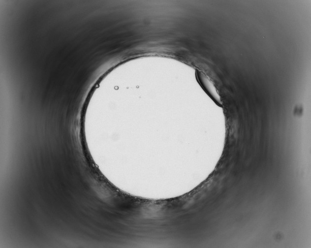 X0000103430148200810241107