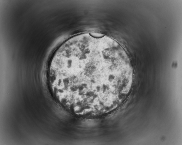 X0000103430149200810241107