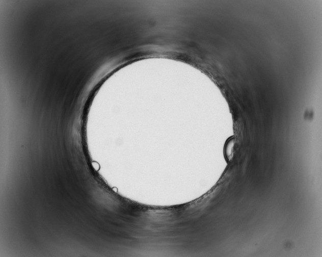 X0000103430150200810241107