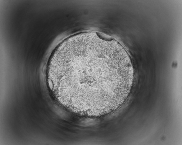X0000103430151200810241107