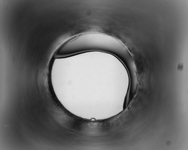 X0000103430152200810241107