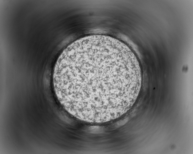 X0000103430153200810241107