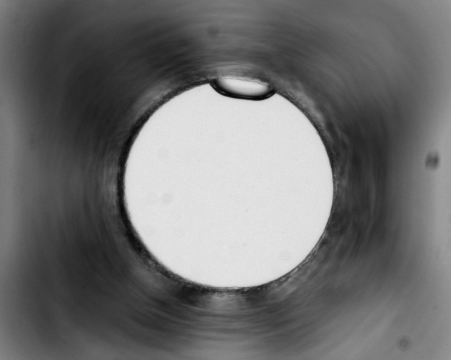 X0000103430154200810241107