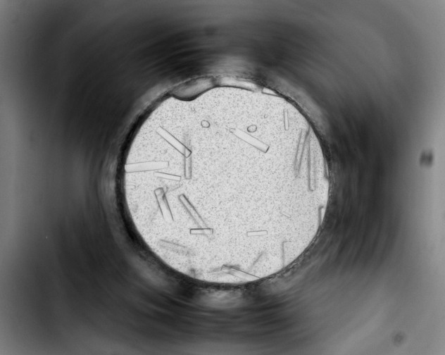 X0000103430155200810241107