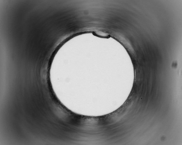 X0000103430156200810241107