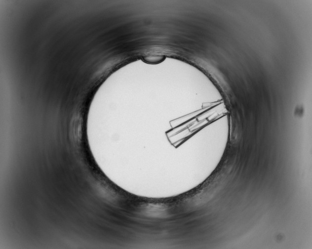 X0000103430157200810241107