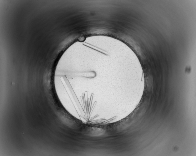 X0000103430159200810241107