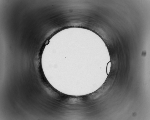 X0000103430160200810241107