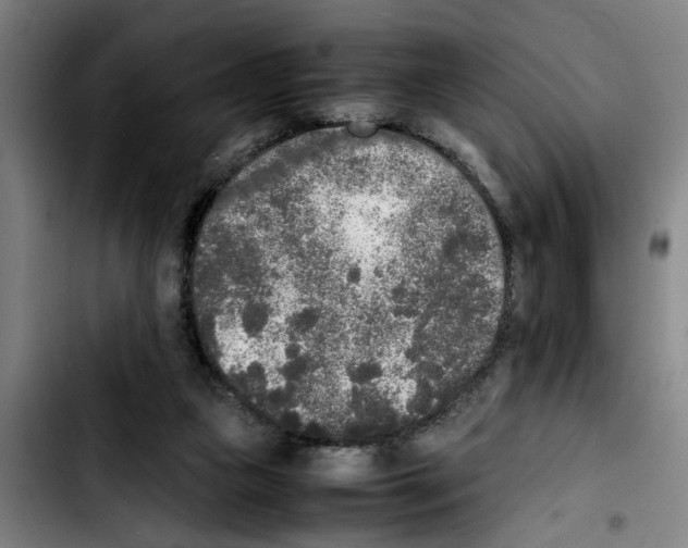 X0000103430161200810241107