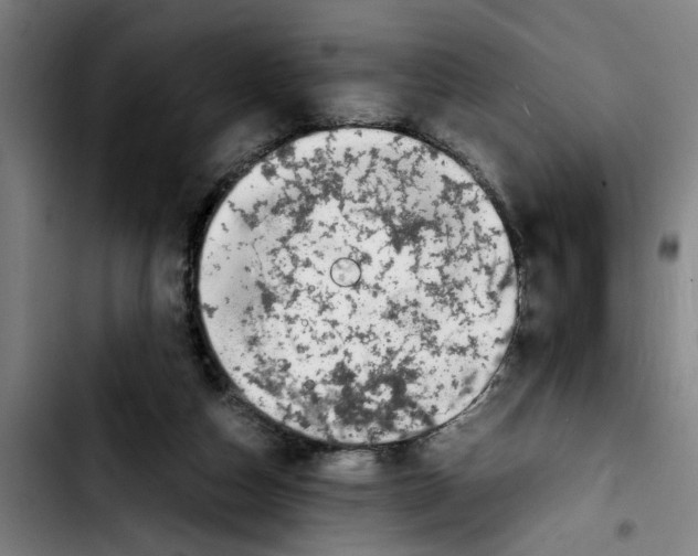 X0000103430162200810241107
