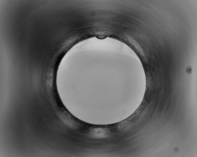 X0000103430163200810241107