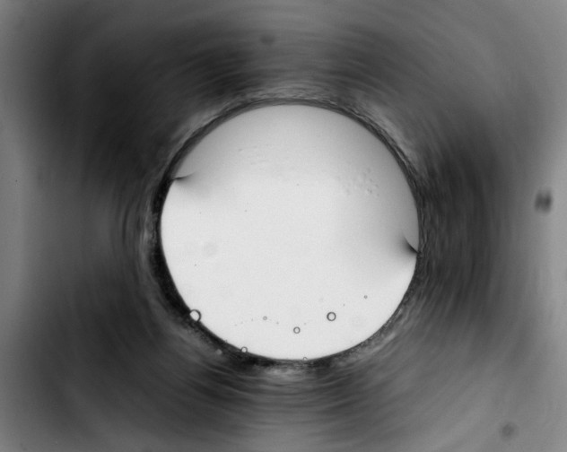 X0000103430164200810241107