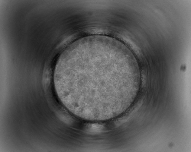 X0000103430165200810241107