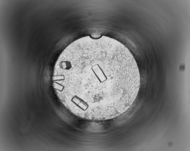 X0000103430166200810241107