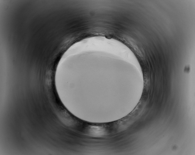 X0000103430167200810241107