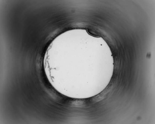 X0000103430168200810241107