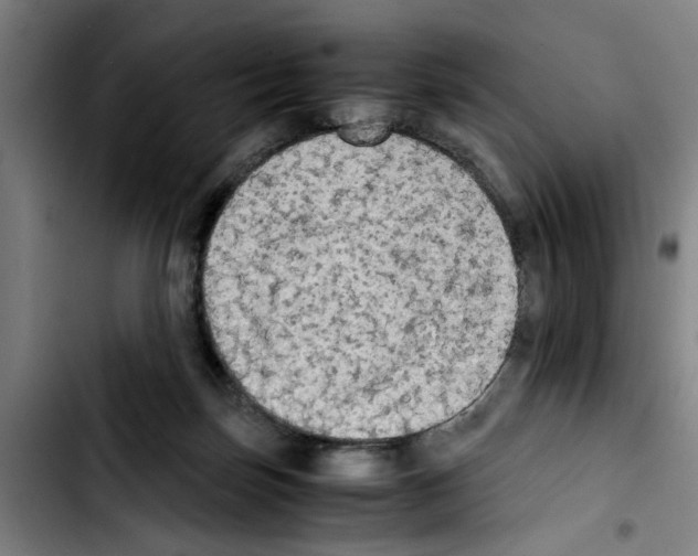 X0000103430171200810241107