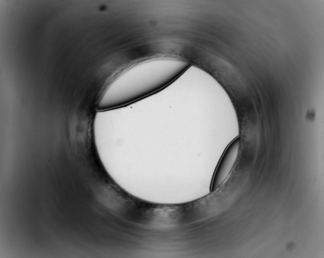 X0000103430172200810241107