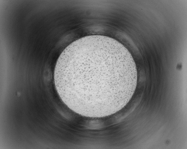 X0000103430173200810241107