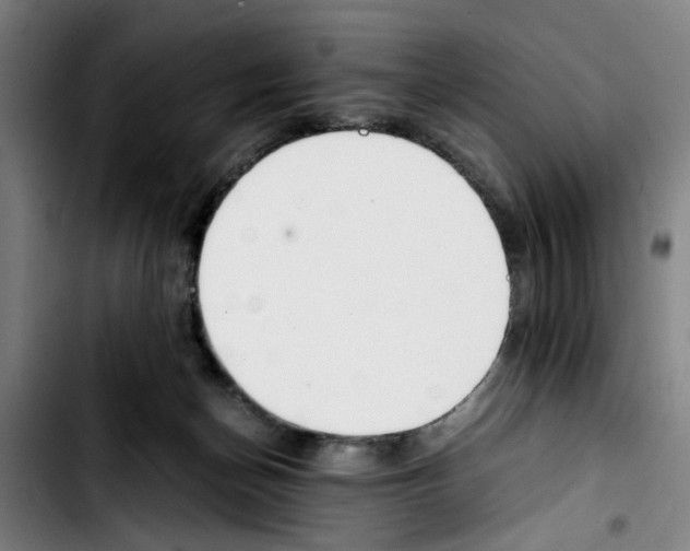 X0000103430174200810241107