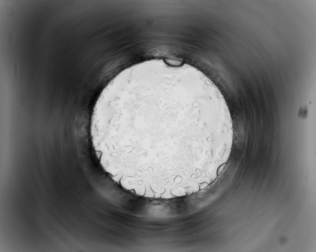 X0000103430175200810241107