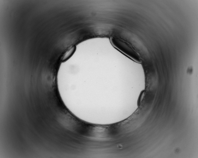 X0000103430176200810241107