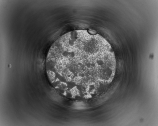 X0000103430177200810241107