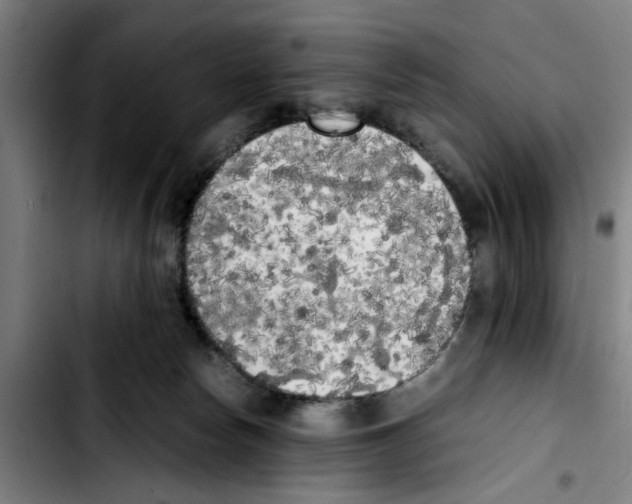 X0000103430178200810241107