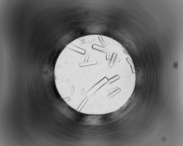 X0000103430179200810241107