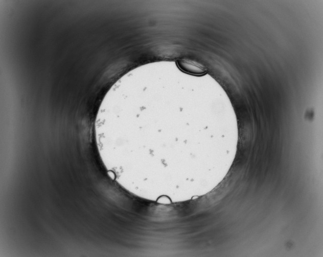 X0000103430180200810241107