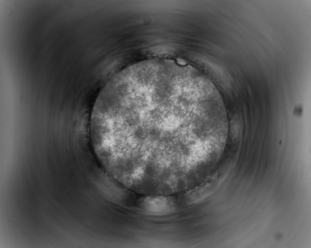 X0000103430181200810241107