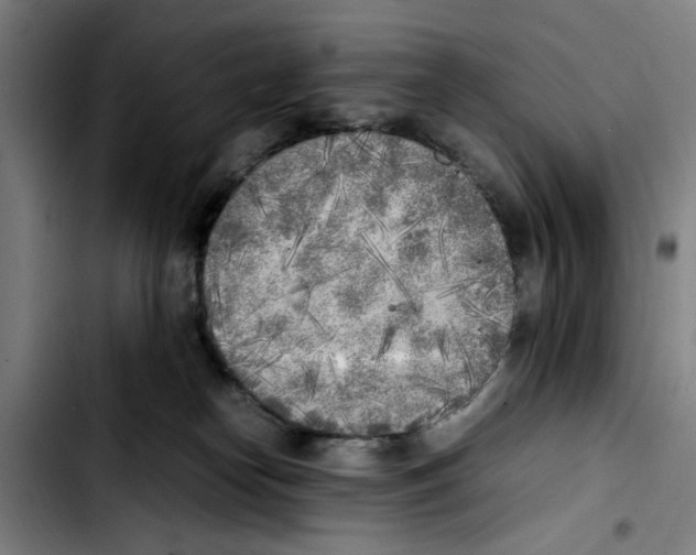 X0000103430182200810241107