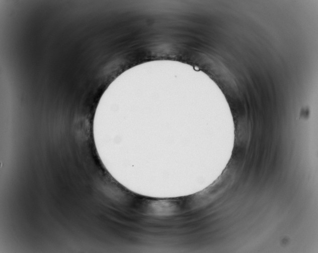 X0000103430183200810241107